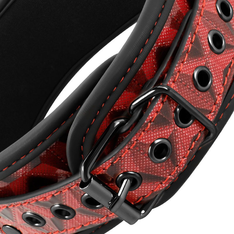 BEGME Collar with Nipple Clamps
